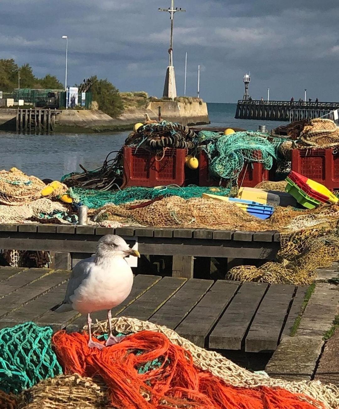 Entre Seulles & Mer Proche Port De Plaisance Courseulles-sur-Mer Kültér fotó